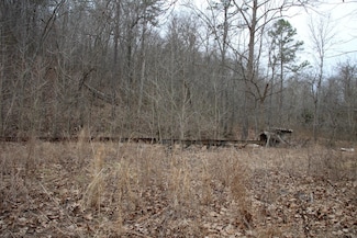 1 Marion County 3001, Yellville, AR 72687