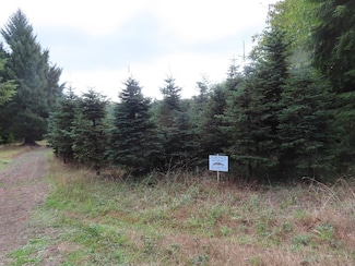 8040 U S 101, South Bend, WA 98586