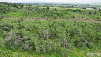 TBD Aspen Heights Dr, Ashton, ID 83420