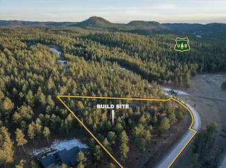 Lot 5 Caledonia Trail Unit TBD Caledonia Trail, West Custer, SD 57730