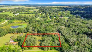 39506 Louise Dr, Zephyrhills, FL 33540