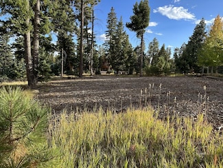1255 Browning Rd, Duck Creek, UT 84762