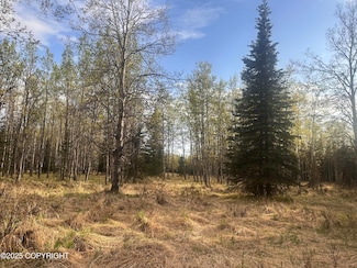 Tract 2-B Funny River Rd, Soldotna, AK 99669