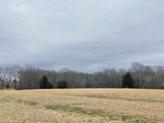 0 Chisholm Rd, Iron City, TN 38463