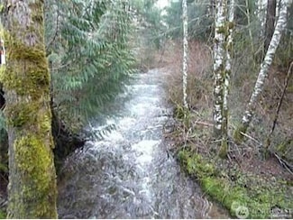 46212 162nd Ave E, Eatonville, WA 98328