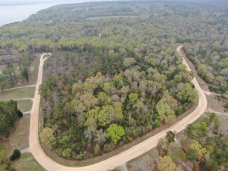 Lot #3 Tanglewood Dr, Georgetown, GA 39854