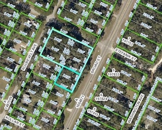 0 Broad St Unit W7825015, Brooksville, FL 34604