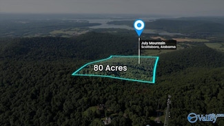 80 Acres Bella Vista Dr, Scottsboro, AL 35768