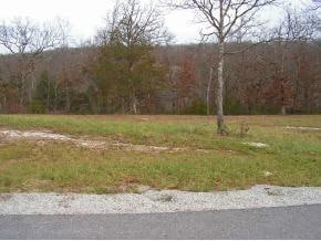 Lot 125 Beechwood Dr, Ruth C Township, MO 65737