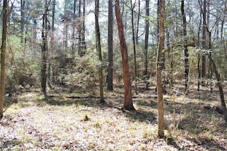 5 Magnolia Ct, Trinity, TX 75862