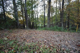 Lot 91 Fairway Dr, Cullman, AL 35057