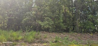 lot 175 Plantation Blvd, Georgetown, GA 39854
