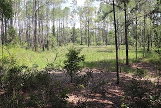 00 SW 156th Place, Dunnellon, FL 34432