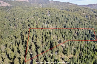 12703 S Alpine Fern Ln, Rockford, WA 99030