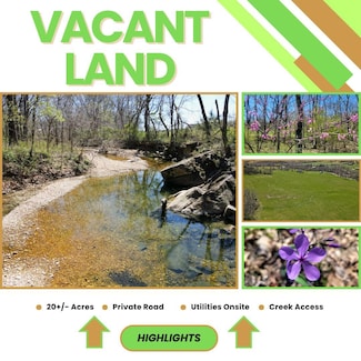 Tract 3 Stewerd Dr, Fordland Township, MO 65652