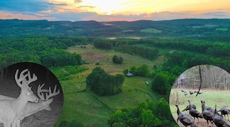 417 County Road 582, Collinsville, AL 35961