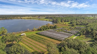 00 Mcbride Rd, Seville, FL 32190