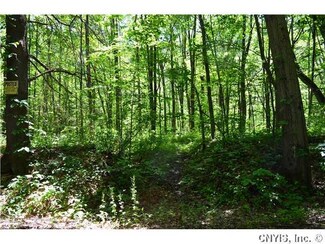 0 Luther Rd, West Monroe, NY 13167