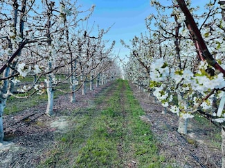 TBD E Terril Rd, Kennewick, WA 99337