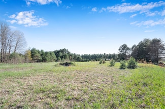 V/L E 30 Rd, Cadillac, MI 49601