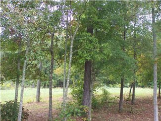 351 Highway 99, Shelby, AL 35143
