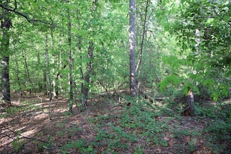LT.46 Lake Sinclair Dr, Sparta, GA 31087