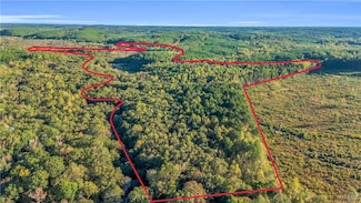 TBD Snake Branch Rd, Vernon, AL 35592