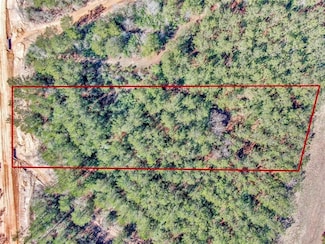15388 Forest Grove Dr, Willis, TX 77378