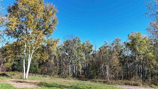 000 TBD Samuel Ln, Marion Township, MI 49720