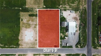 7317 Charro St, Mission, TX 78574