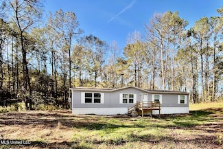 1033 Spike Ln, Summit, MS 39666