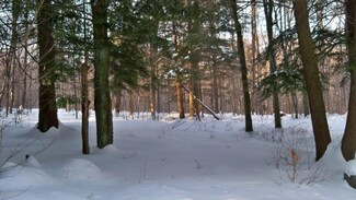 0 Grouse Woods Dr, Laporte Township, PA 17758