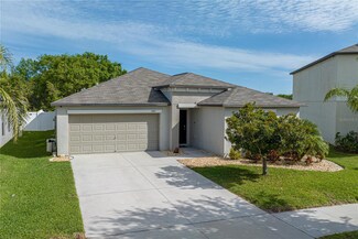 10110 Carloway Hills Dr, Wimauma, FL 33598