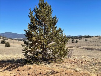 3233 Remington Rd, Como, CO 80456
