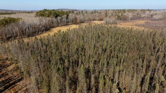 4498 State 210 SW, Pillager, MN 56473