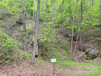 0 South Dr Unit 51 CAR4245138, Lake Lure, NC 28746