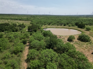 4525 Cr 415, Cisco, TX 76437