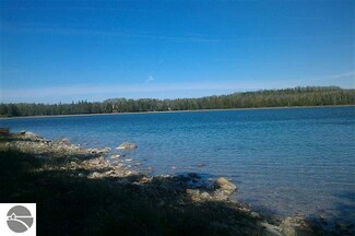 36973 S Whitney Bay Rd Unit 11, Drummond Island, MI 49726