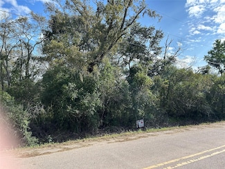 00 N Belt Dr, Brazoria, TX 77422