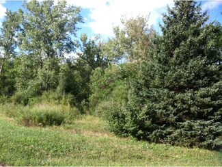 0 Crane Rd Unit R194277, Oakfield, NY 14125