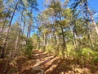 0 Tbd Gill Rd, Brookhaven, MS 39601