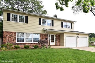 916 W Hintz Rd, Arlington Heights, IL 60004