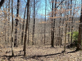 0 Anderson Rd, Pegram, TN 37143