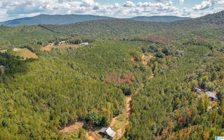 3.69 Acres Tuck-A-way Dr Unit 18, Piedmont, AL 36272