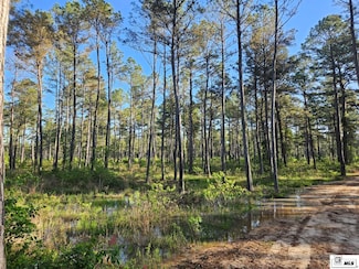 00 Louisiana 143, West Monroe, LA 71291