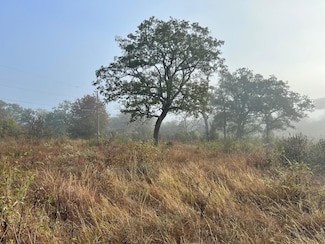 132 Triangle Acres, Cedar Creek, TX 78612