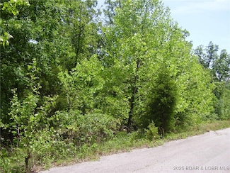 19 Silver Spur Ct, Camdenton, MO 65020