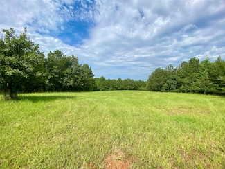 1107 Pete Johnson Rd, Tignall, GA 30668