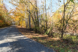 Lot 1 Jones Cove Rd, Cosby, TN 37722