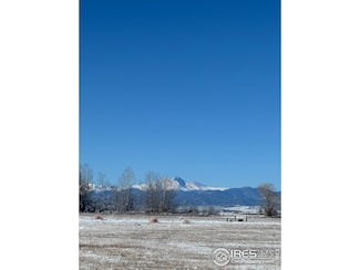 15124 Mattana Dr, Mead, CO 80542